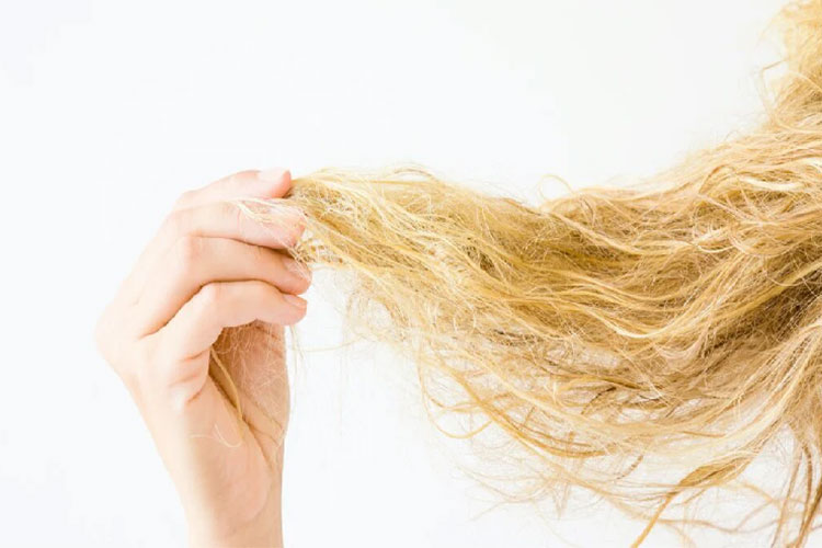 رعایت این روش ها خشکی موی شما را برطرف می‌کند